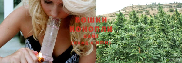 винт Осинники