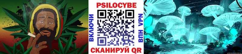 Псилоцибиновые грибы мицелий  Купить где  Пудож 